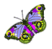butterflyanimation-14